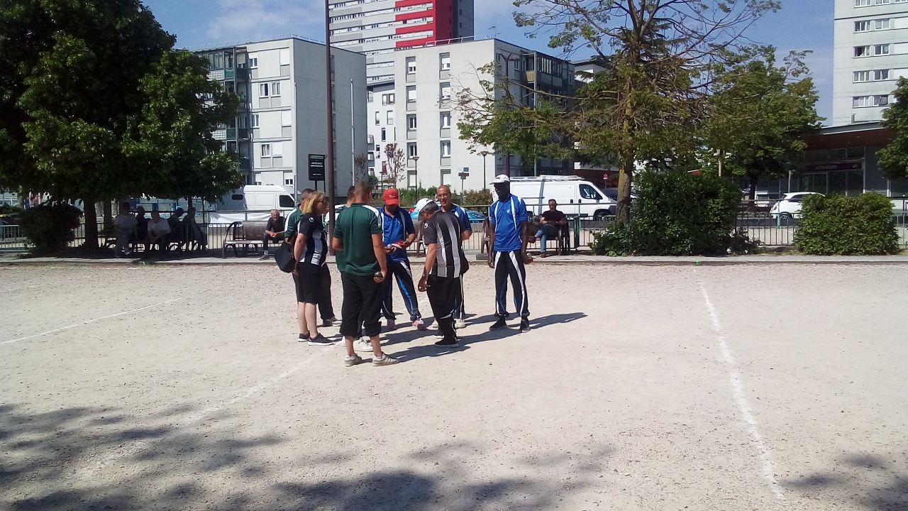 Chat Essonne Triplette Promo 2022 Chat Essonne Triplette Promo 2022