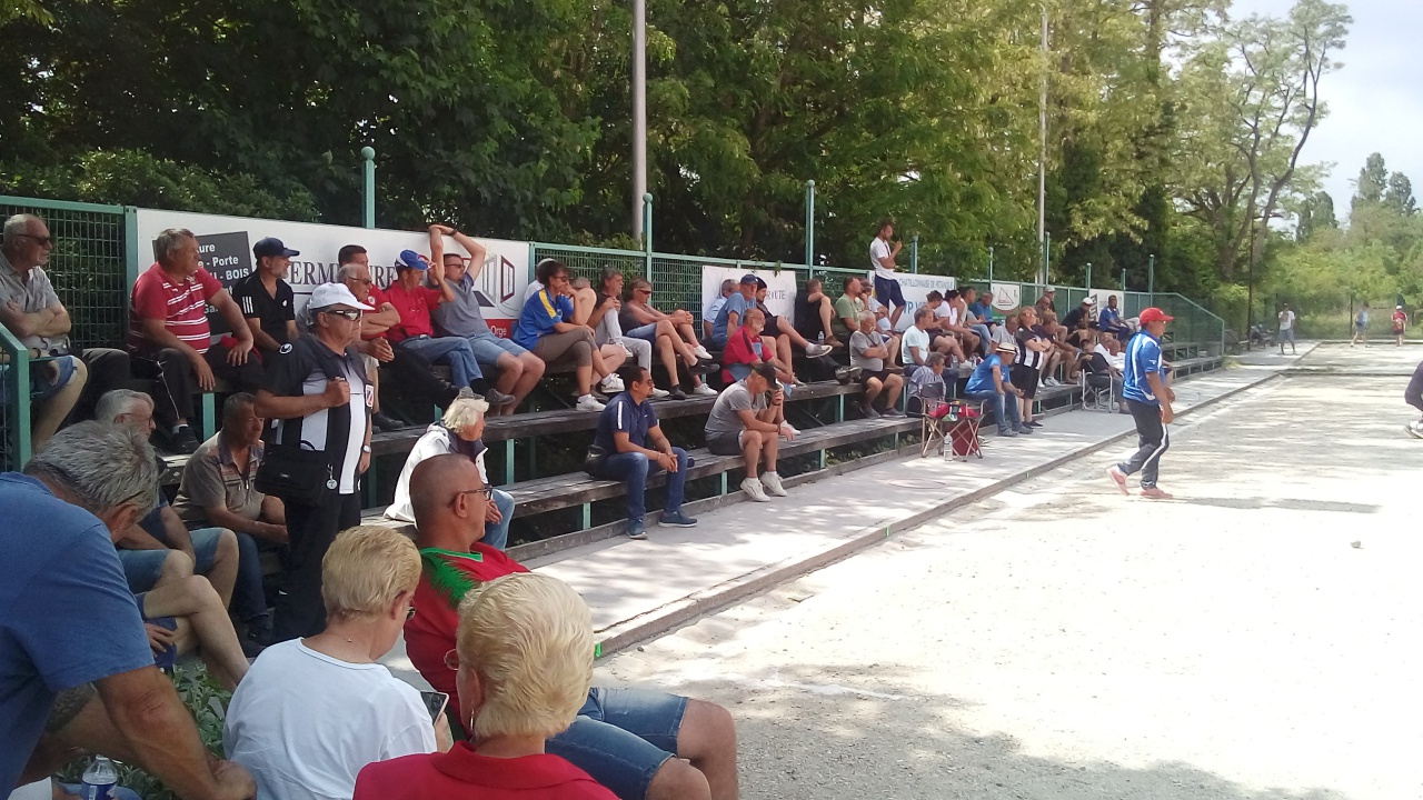 Chat Essonne Triplette Promo 2022 Chat Essonne Triplette Promo 2022