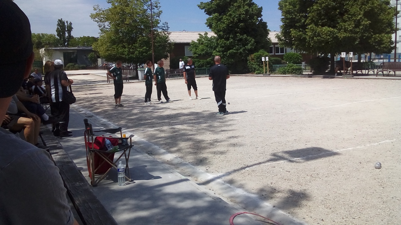 Chat Essonne Triplette Promo 2022 Chat Essonne Triplette Promo 2022