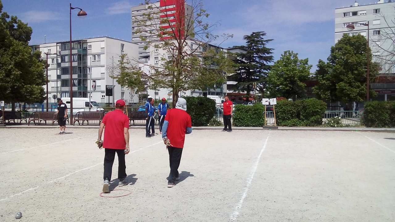 Chat Essonne Triplette Promo 2022 Chat Essonne Triplette Promo 2022