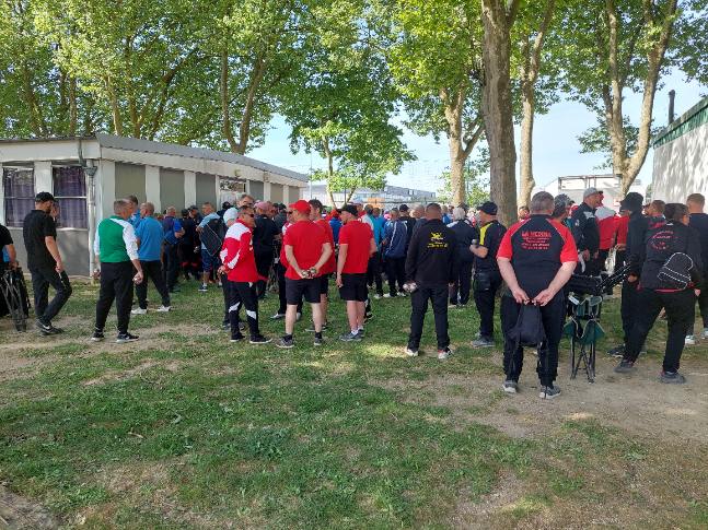 Chat Essonne Triplette Promo 2022 Chat Essonne Triplette Promo 2022