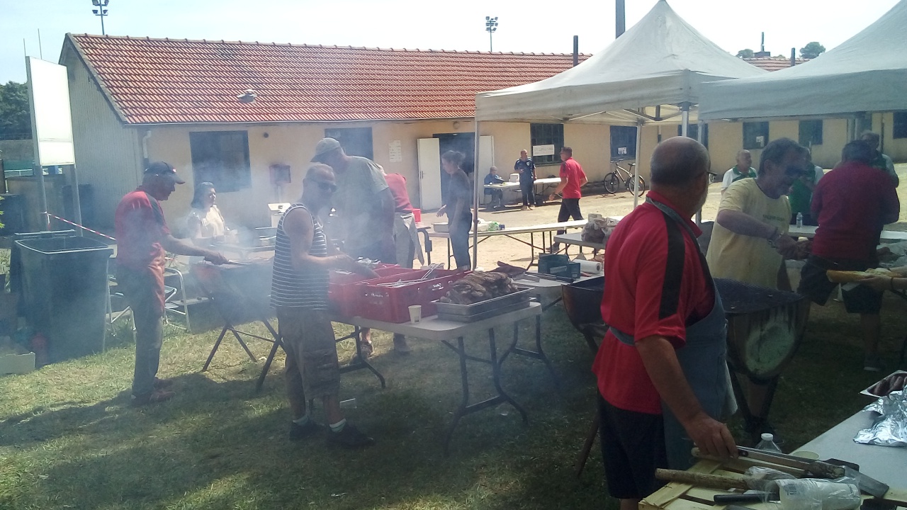 Chat Essonne Triplette Promo 2022 Chat Essonne Triplette Promo 2022