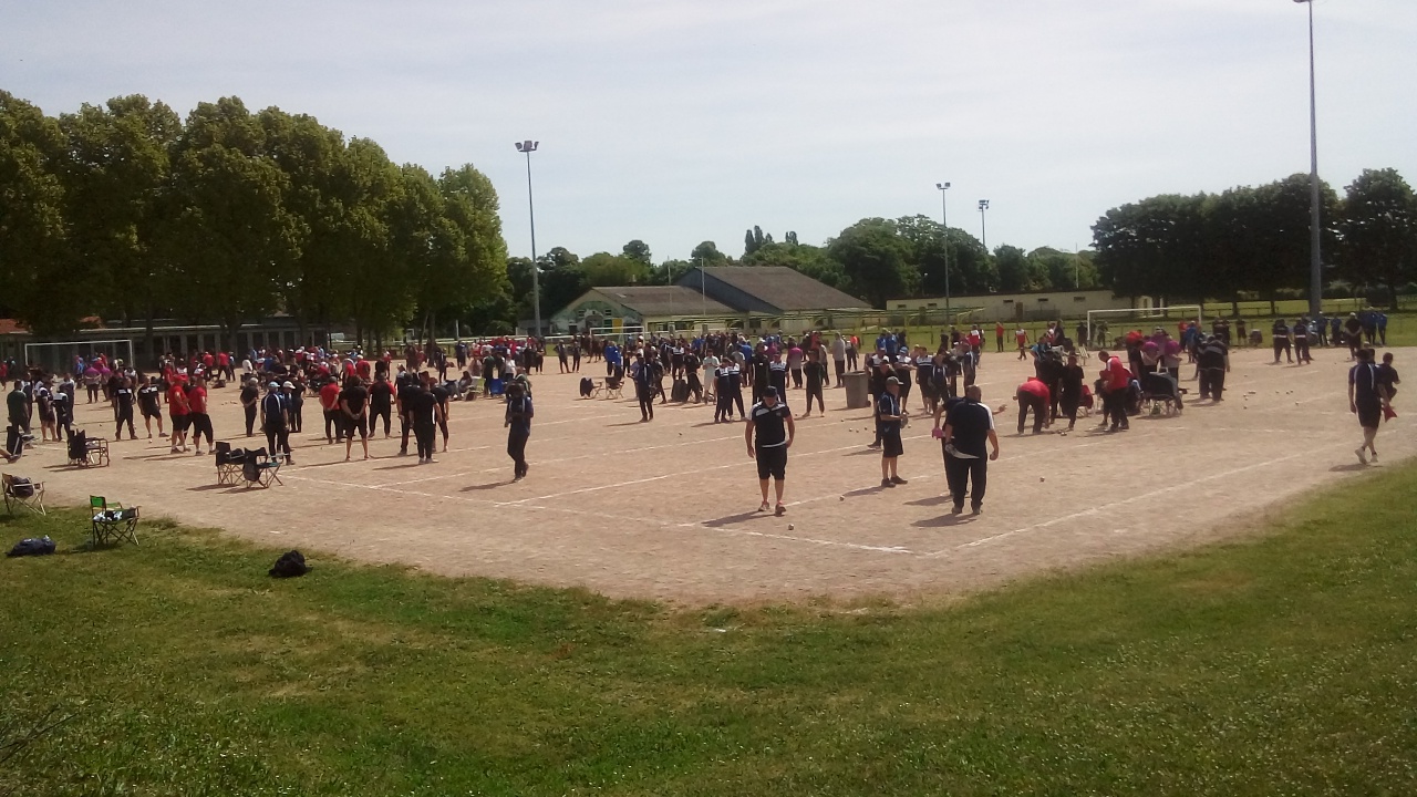 Chat Essonne Triplette Promo 2022 Chat Essonne Triplette Promo 2022