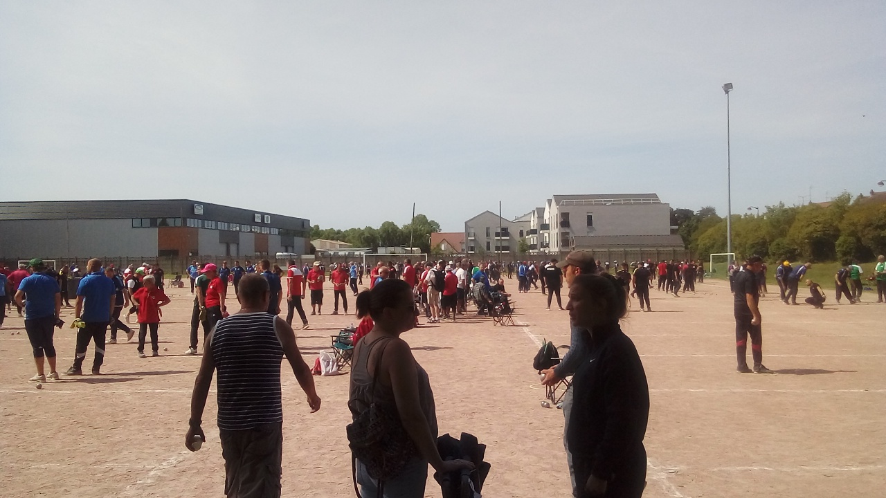 Chat Essonne Triplette Promo 2022 Chat Essonne Triplette Promo 2022