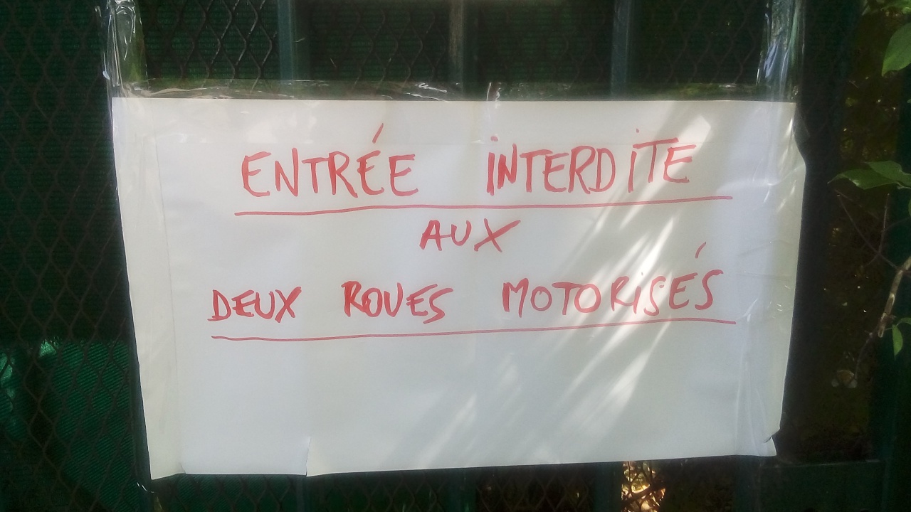 Chat Essonne Triplette Promo 2022 Chat Essonne Triplette Promo 2022