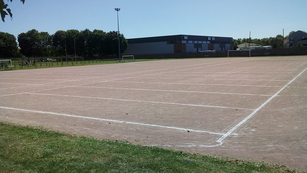 Chat Essonne Triplette Promo 2022 Chat Essonne Triplette Promo 2022