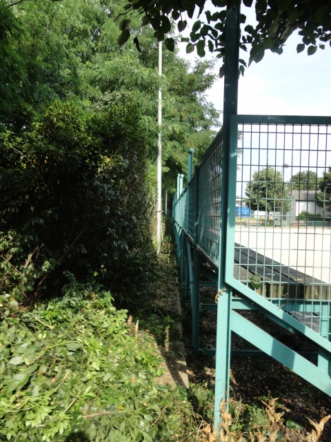 Taille haies Taille haies