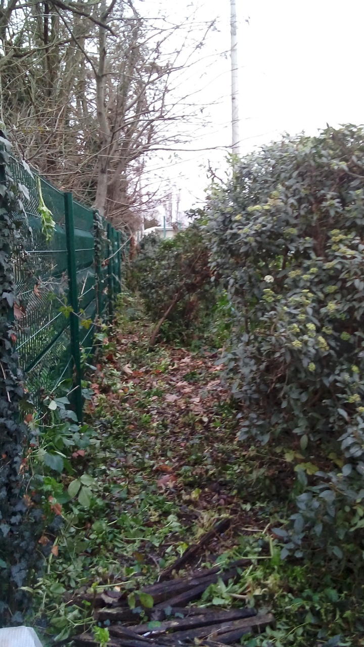 Débrousaillage Débrousaillage