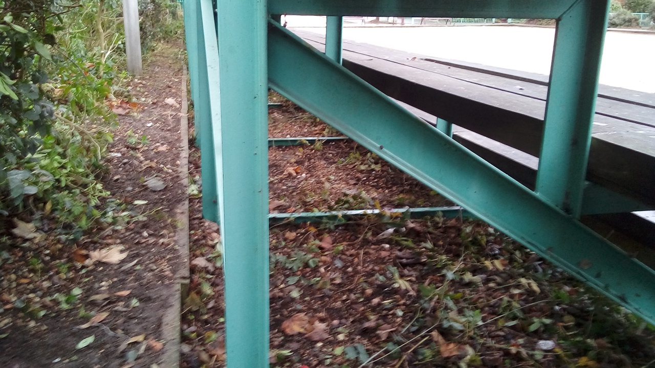 Débrousaillage Débrousaillage