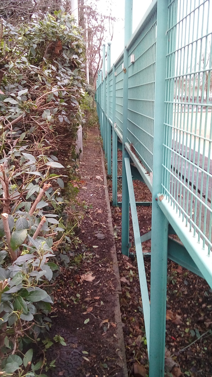 Débrousaillage Débrousaillage