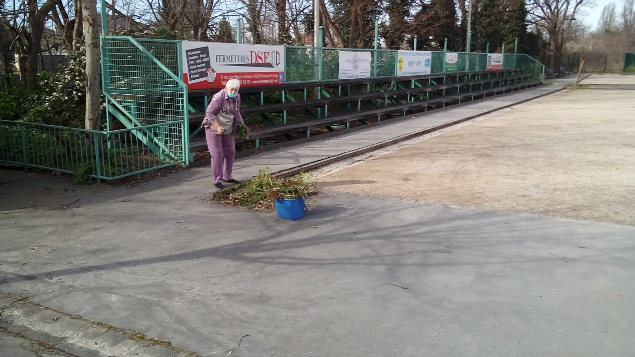 Fleurissement mars 2023 Fleurissement mars 2023