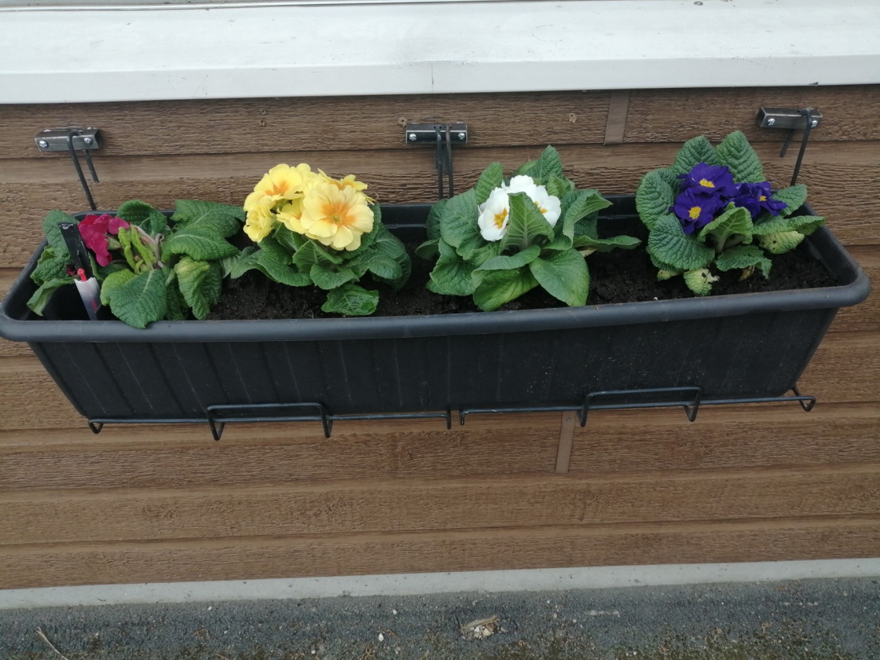 Fleurisement de la SVCP Fleurisement de la SVCP