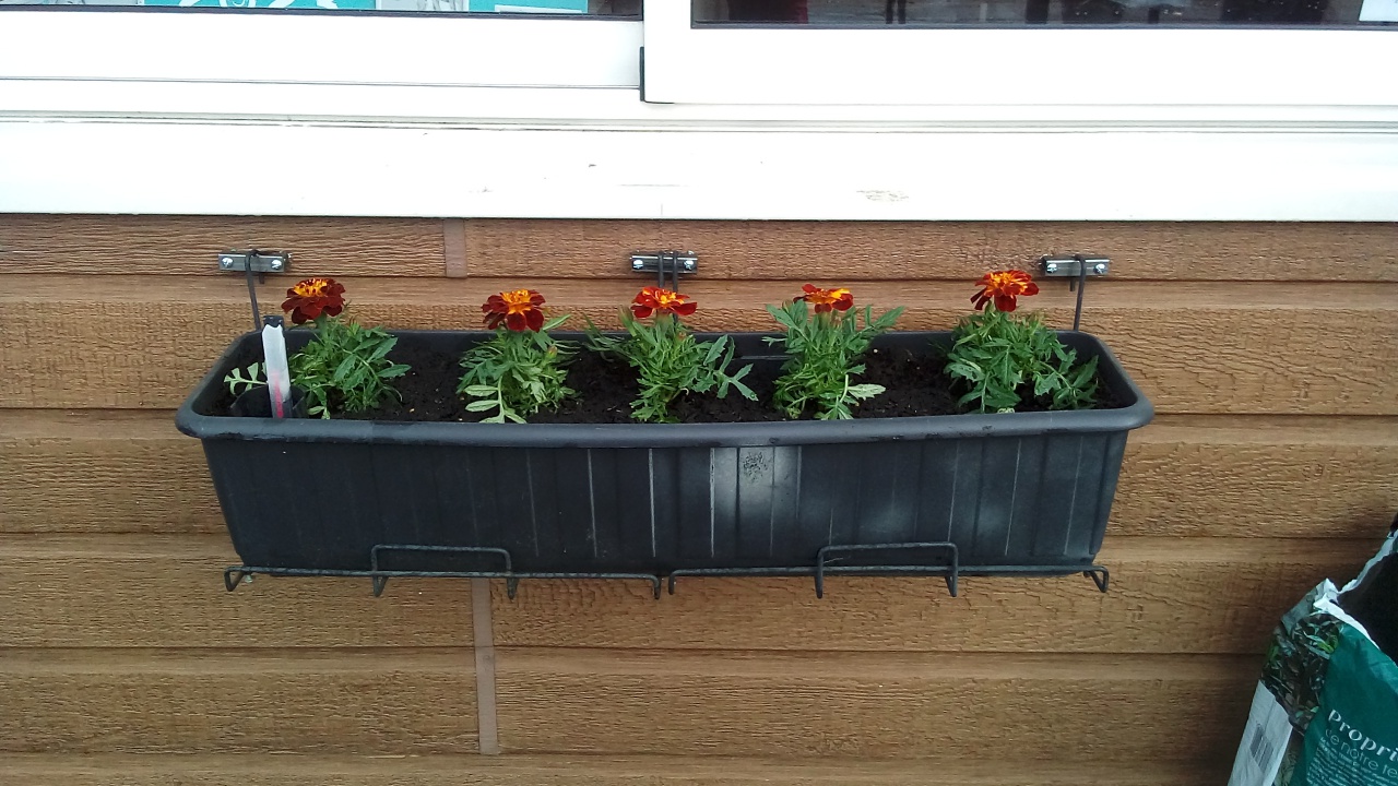 Fleurissement de la SVCP Mars 2023 Fleurissement de la SVCP Mars 2023