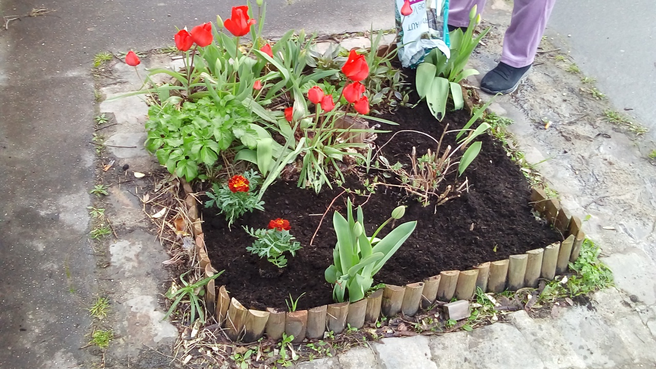 Fleurissement de la SVCP Mars 2023 Fleurissement de la SVCP Mars 2023