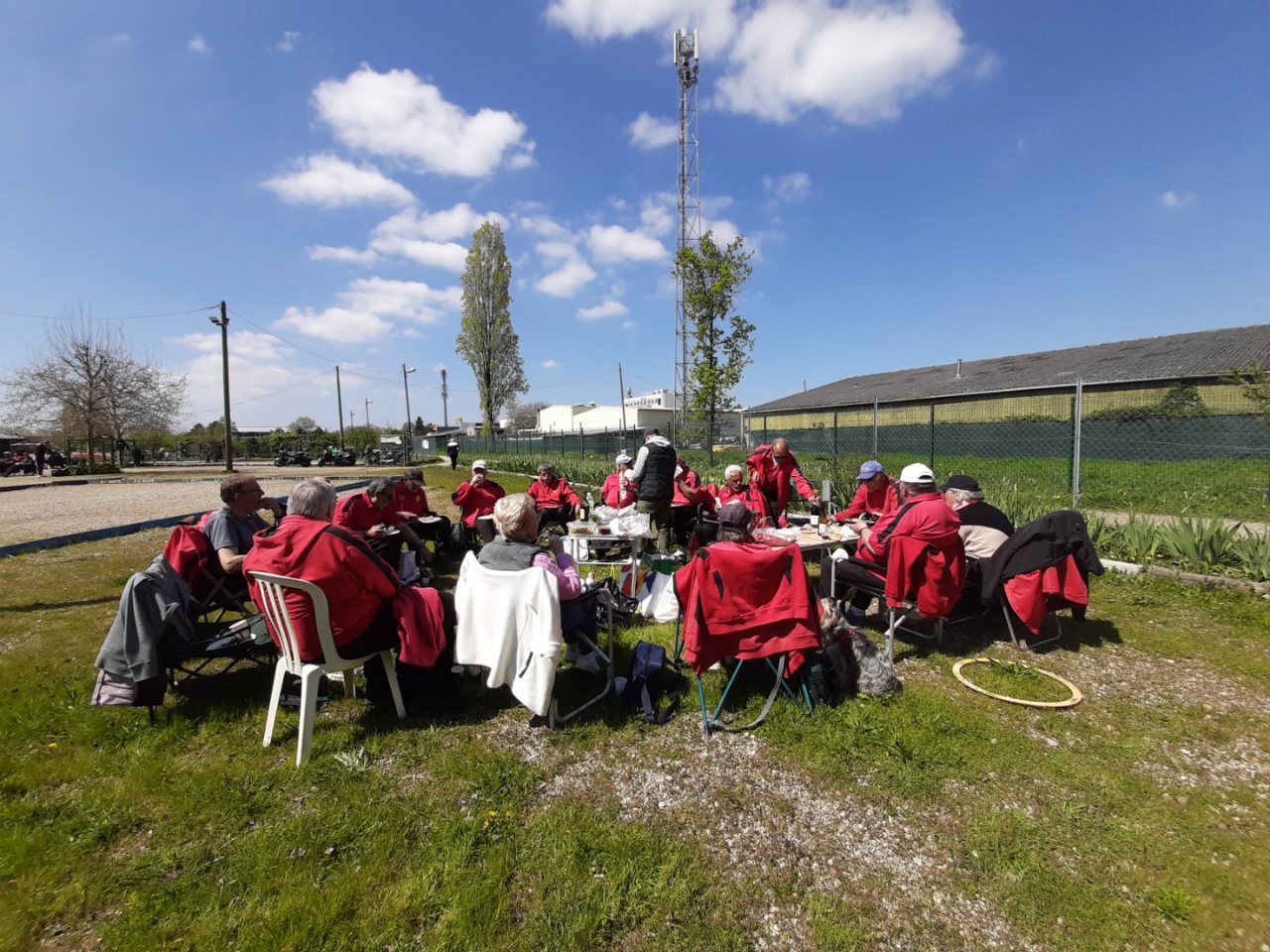 Chat Tripletet Vétéran 2023 Chat Tripletet Vétéran 2023