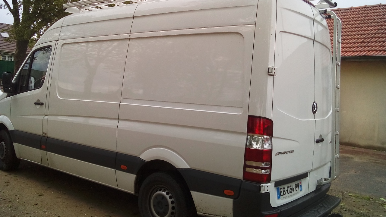 Chat Essonne Triplette Promotion 2023 Chat Essonne Triplette Promotion 2023