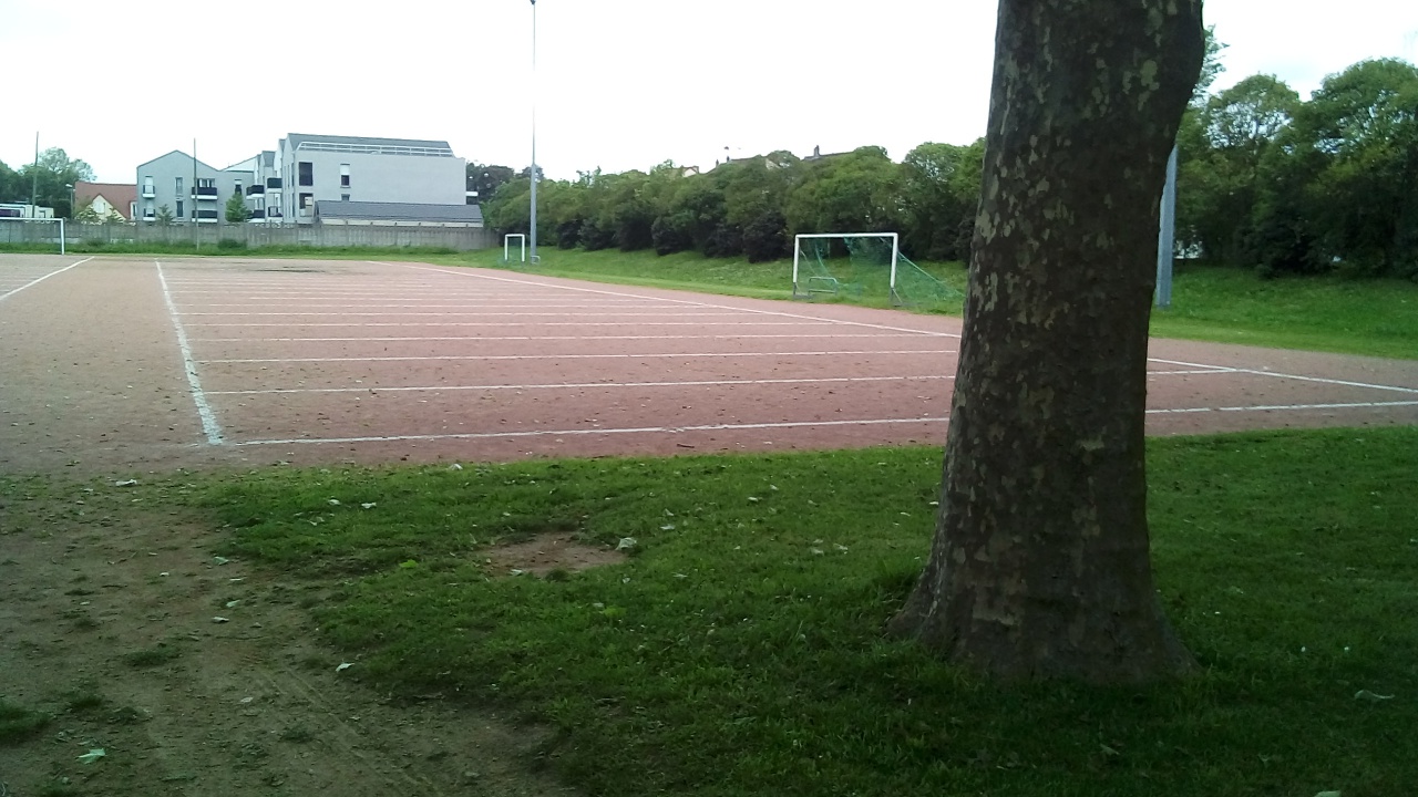 Chat Essonne Triplette Promotion 2023 Chat Essonne Triplette Promotion 2023