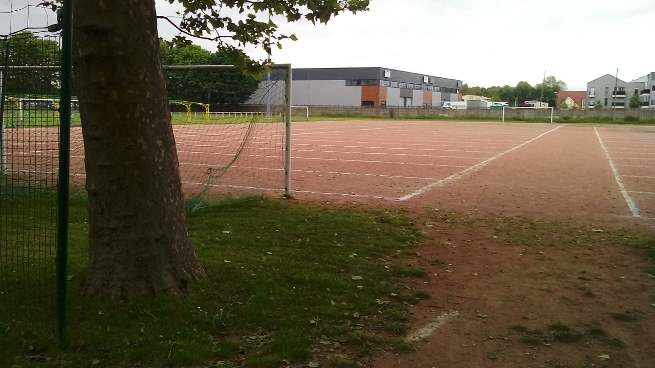 Chat Essonne Triplette Promotion 2023 Chat Essonne Triplette Promotion 2023