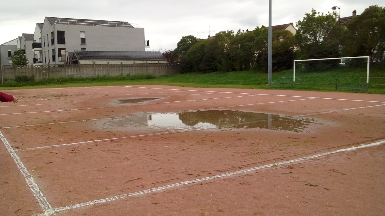 Chat Essonne Triplette Promotion 2023 Chat Essonne Triplette Promotion 2023