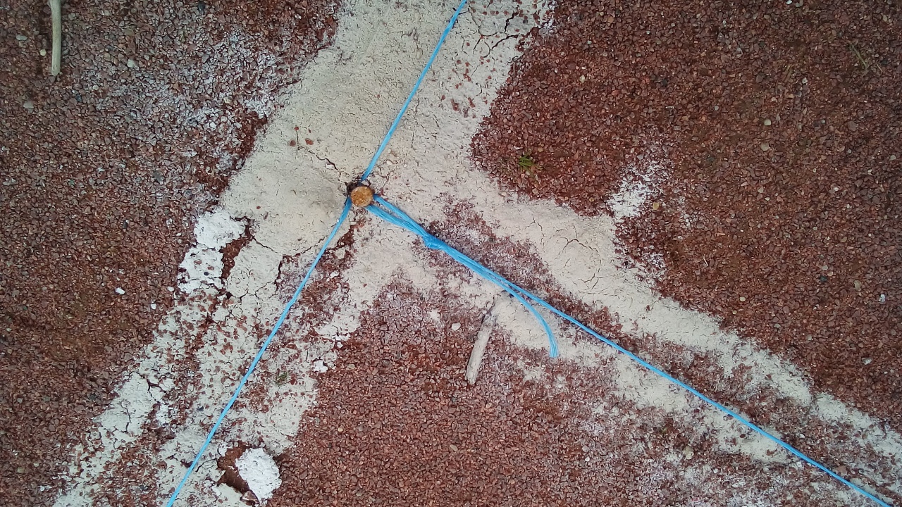 Chat Essonne Triplette Promotion 2023 Chat Essonne Triplette Promotion 2023