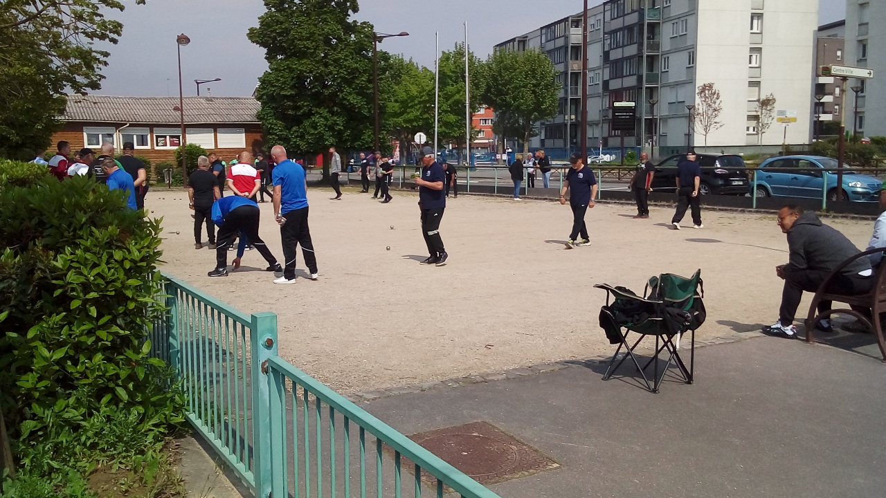 Chat Essonne Triplette Promotion 2023 Chat Essonne Triplette Promotion 2023