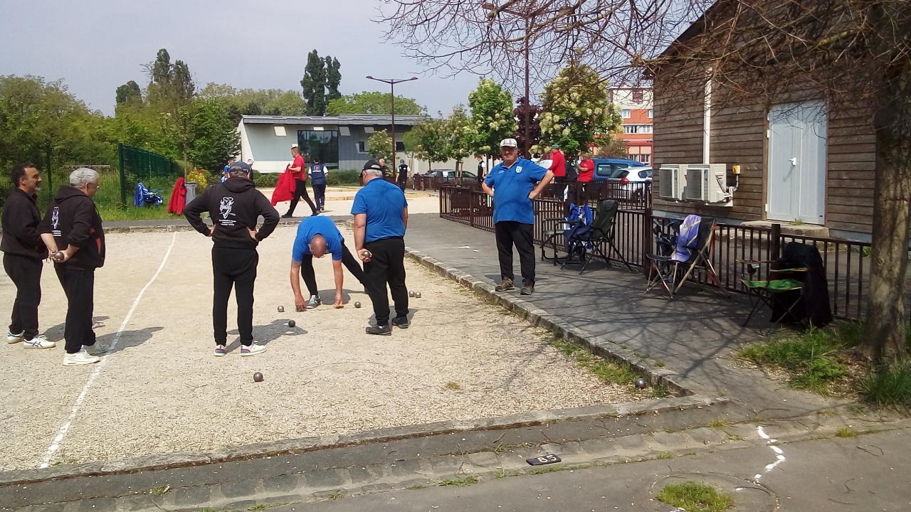 Chat Essonne Triplette Promotion 2023 Chat Essonne Triplette Promotion 2023