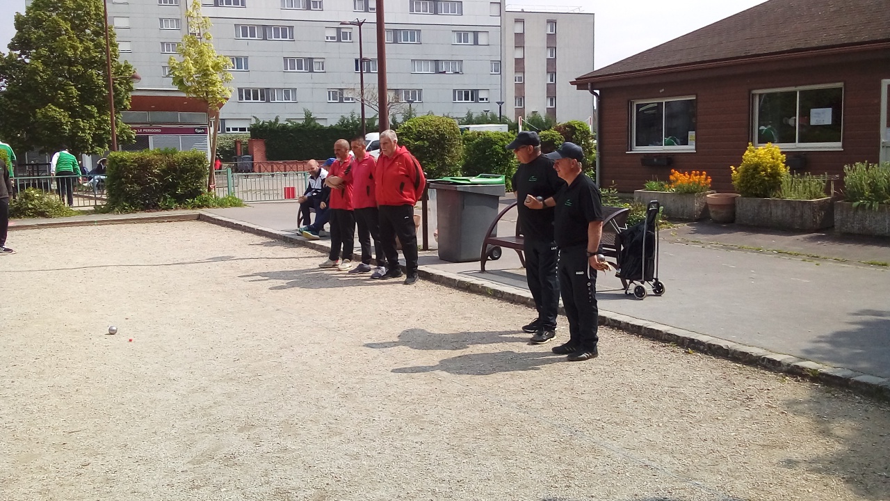 Chat Essonne Triplette Promotion 2023 Chat Essonne Triplette Promotion 2023