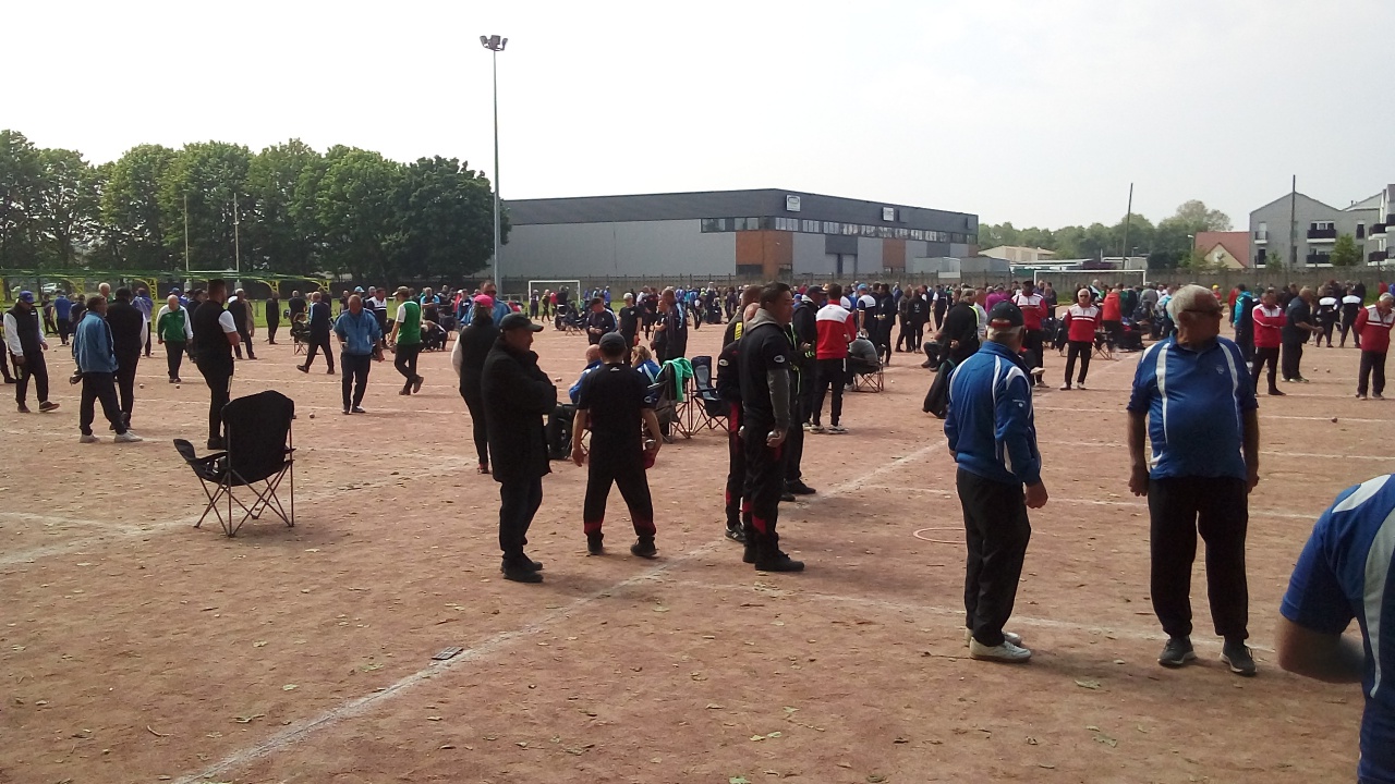 Chat Essonne Triplette Promotion 2023 Chat Essonne Triplette Promotion 2023