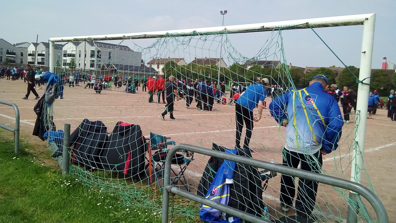 Chat Essonne Triplette Promotion 2023 Chat Essonne Triplette Promotion 2023