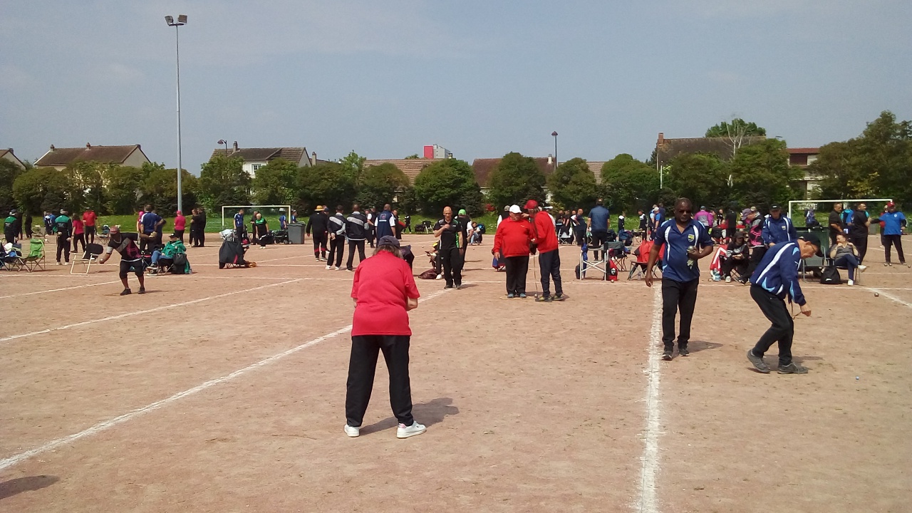 Chat Essonne Triplette Promotion 2023 Chat Essonne Triplette Promotion 2023