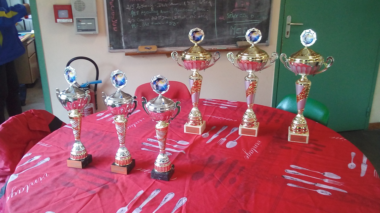 Chat Essonne Triplette Promotion 2023 Chat Essonne Triplette Promotion 2023