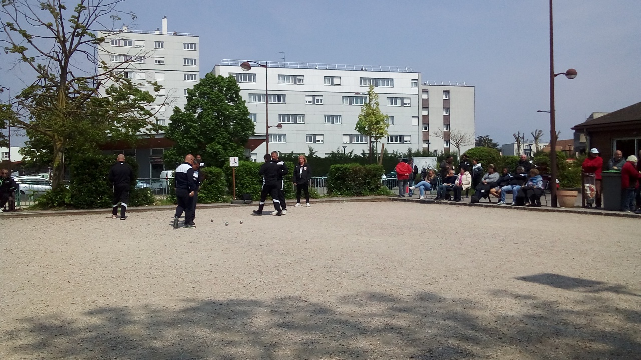 Chat Essonne Triplette Promotion 2023 Chat Essonne Triplette Promotion 2023