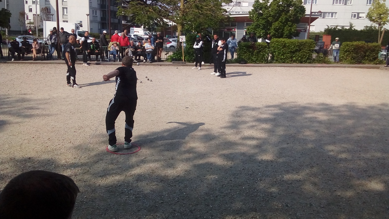 Chat Essonne Triplette Promotion 2023 Chat Essonne Triplette Promotion 2023