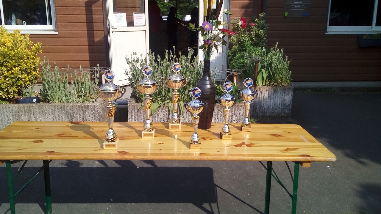 Chat Essonne Triplette Promotion 2023 Chat Essonne Triplette Promotion 2023