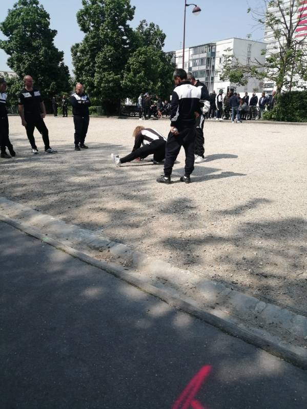 Chat Essonne Triplette Promotion 2023 Chat Essonne Triplette Promotion 2023