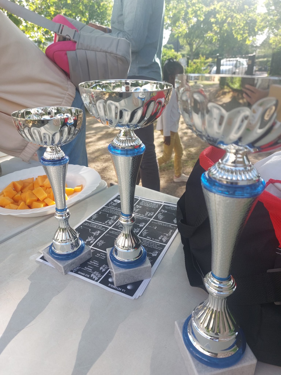 Pétanque aux Érables 1 Pétanque aux Érables 1