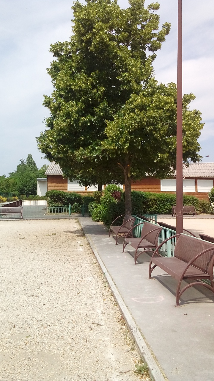 Verdure SVCP Verdure SVCP