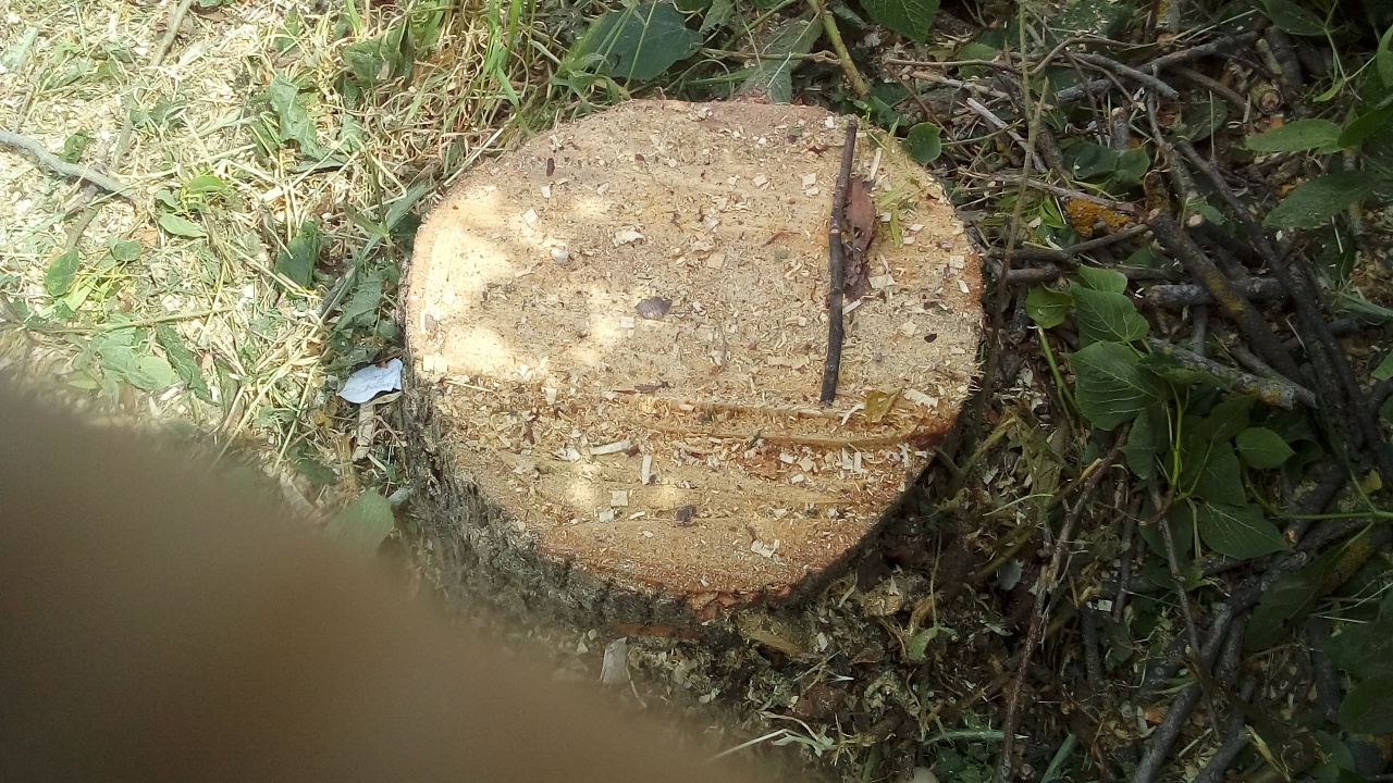 Verdure SVCP Verdure SVCP