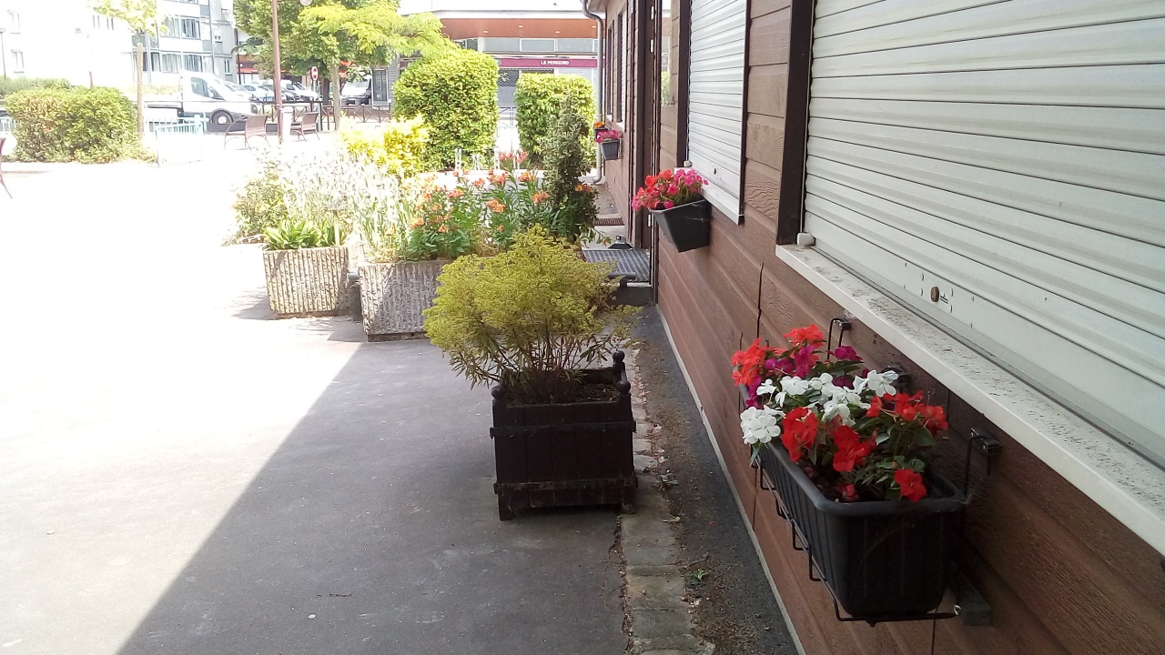 Verdure SVCP Verdure SVCP