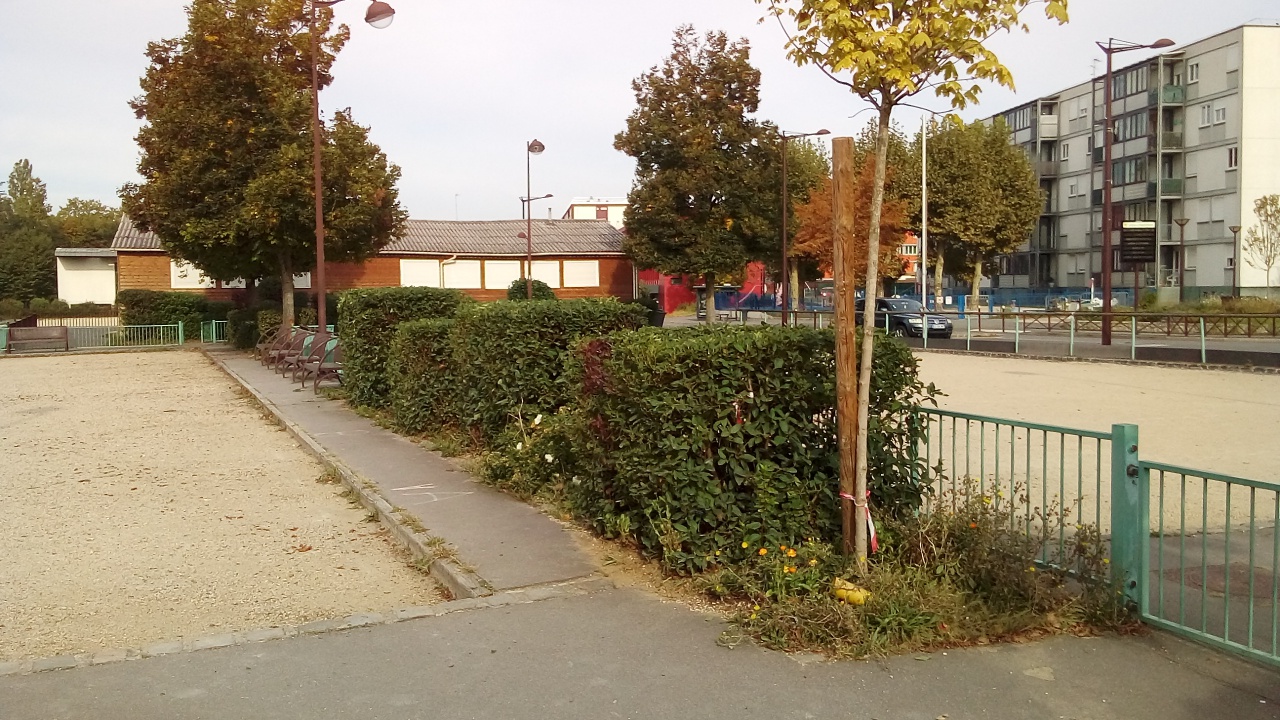 Taille des haies Taille des haies