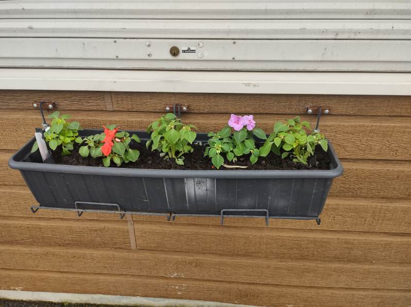 Fleurissement 2024 Fleurissement 2024