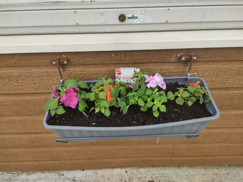 Fleurissement 2024 Fleurissement 2024