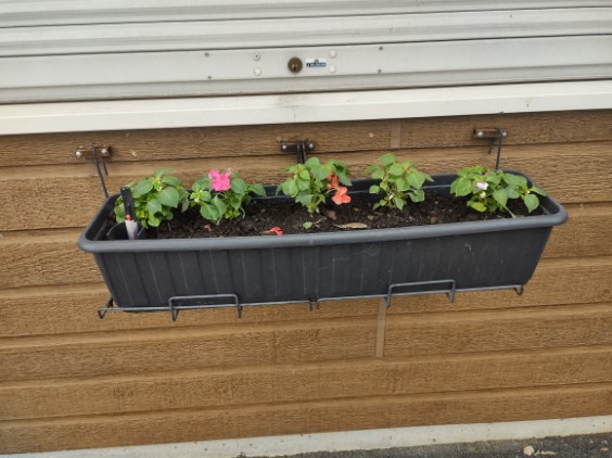 Fleurissement 2024 Fleurissement 2024