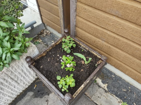 Fleurissement 2024 Fleurissement 2024