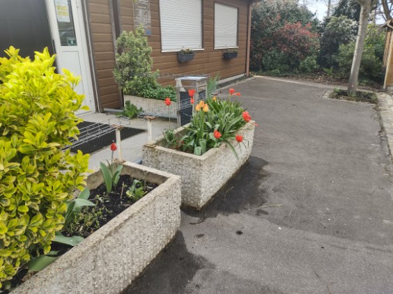 Fleurissement 2024 Fleurissement 2024