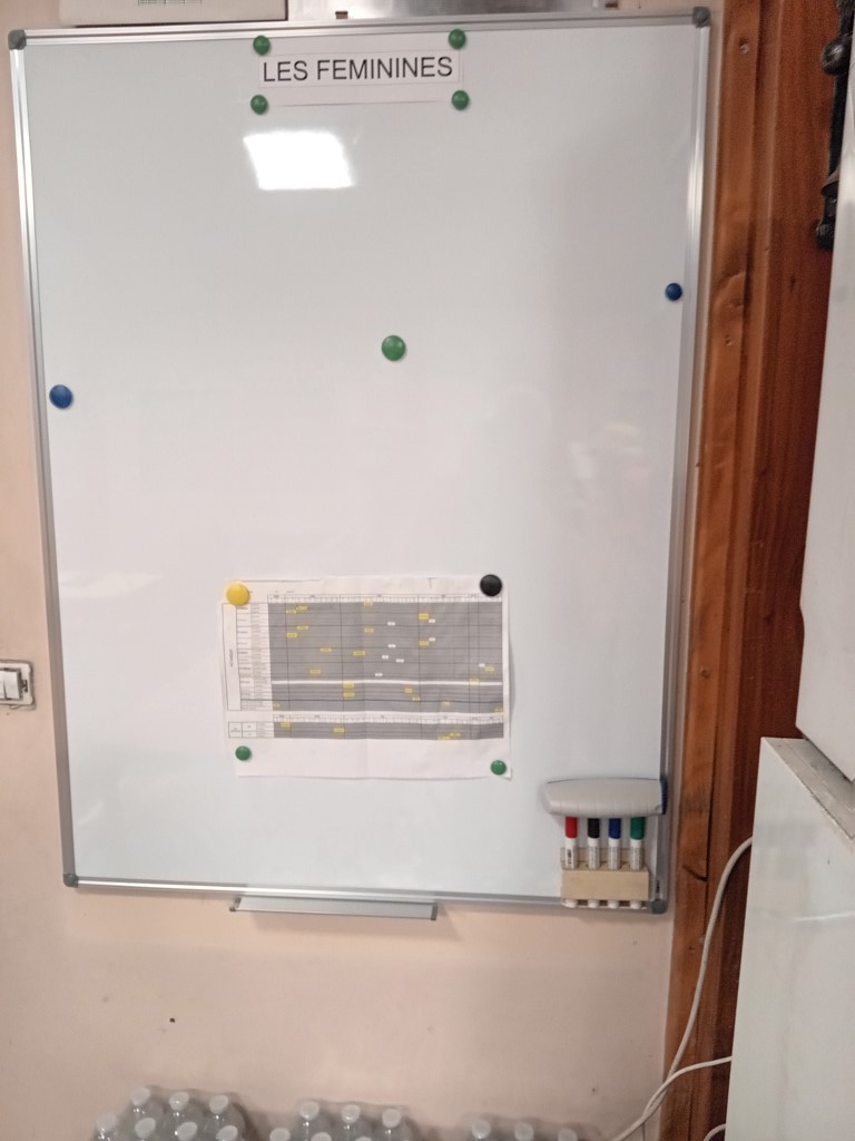 Tableau des "Féminines" Tableau des "Féminines"