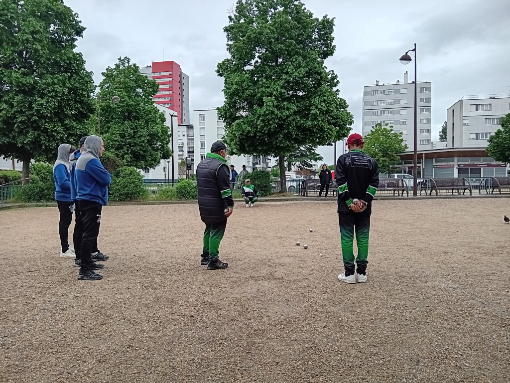 Chat Essonne Tpl Promo 2024 Chat Essonne Tpl Promo 2024