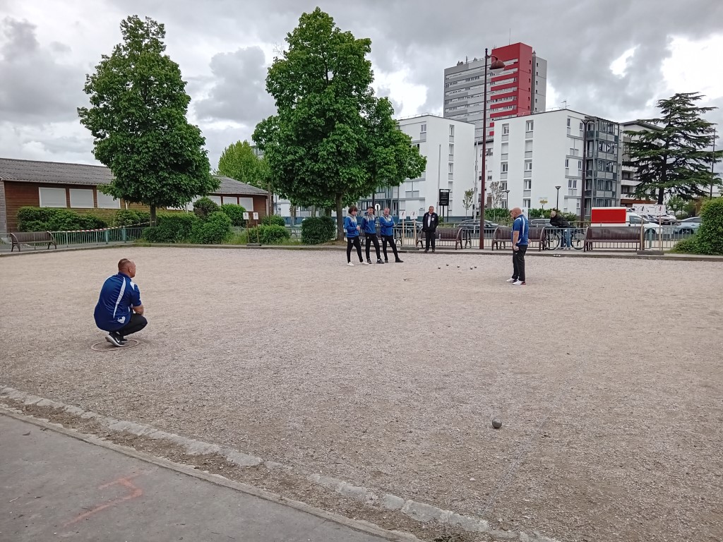 Chat Essonne Tpl Promo 2024 Chat Essonne Tpl Promo 2024