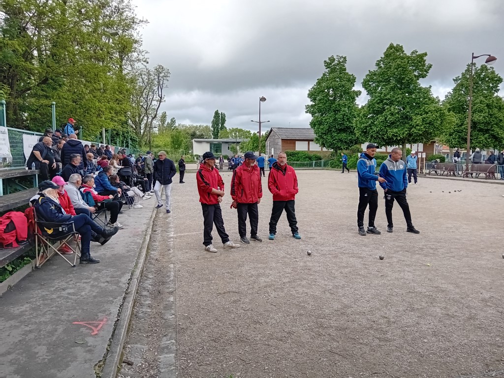 Chat Essonne Tpl Promo 2024 Chat Essonne Tpl Promo 2024