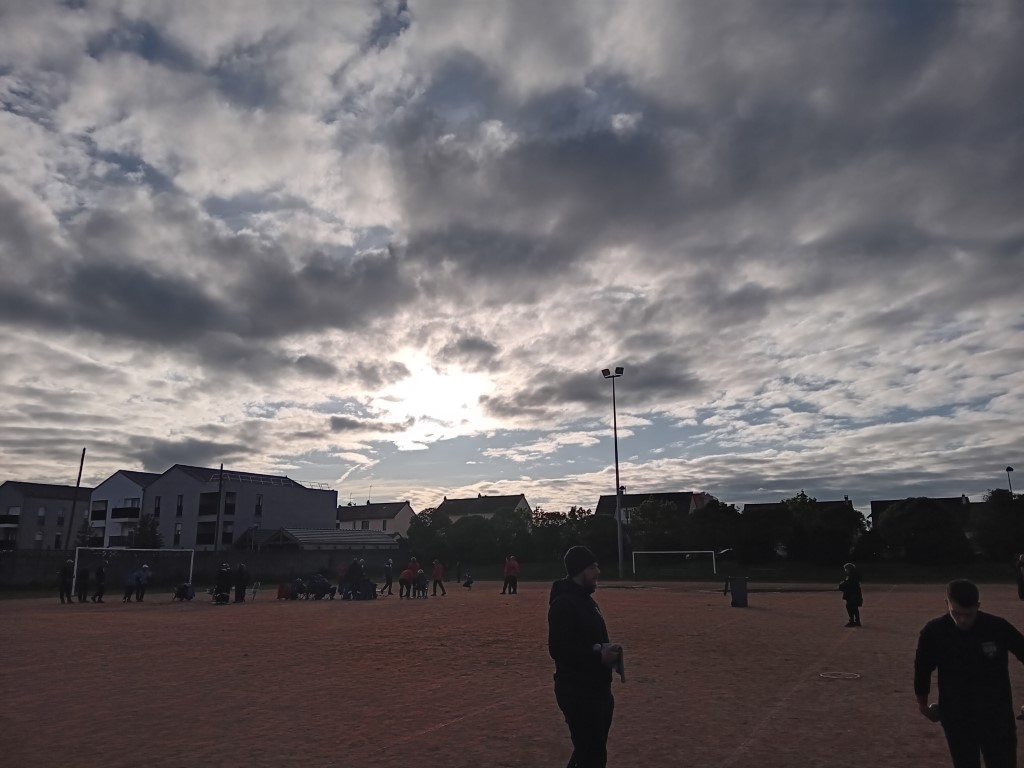 Chat Essonne Tpl Promo 2024 Chat Essonne Tpl Promo 2024